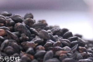 黑苦蕎茶上火嗎？蒸煮法苦蕎茶不上火
