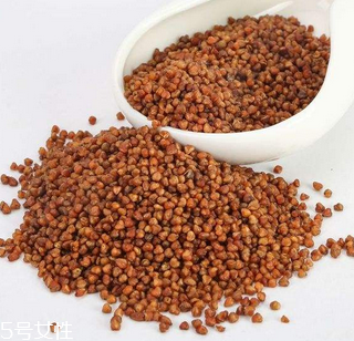 黑苦蕎茶上火嗎？蒸煮法苦蕎茶不上火