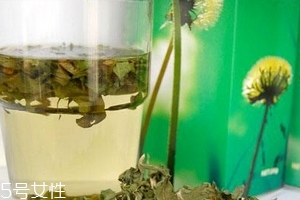 蒲公英茶哪些人不宜喝？這三種人要避開
