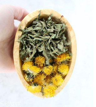 蒲公英茶哪些人不宜喝？這三種人要避開