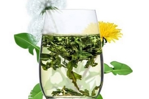 蒲公英茶哪個牌子好？大牌子值得信賴