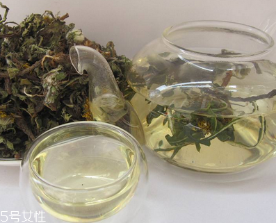 蒲公英茶怎么做？蒲公英茶做法超簡單