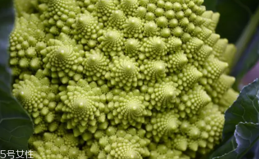 花菜在冰箱能放幾天？不要超過7天