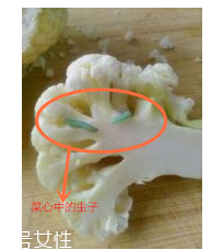 花菜怎么洗才干凈？一定要把蟲(chóng)子洗掉