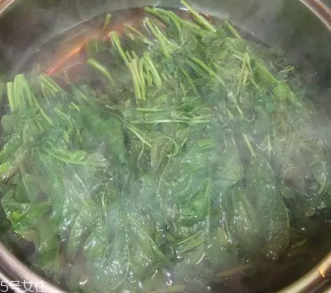 香椿涼拌怎么做好吃？超級簡單的3道開胃菜