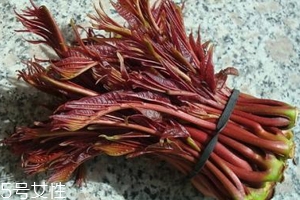 香椿涼拌怎么做好吃？超級簡單的3道開胃菜