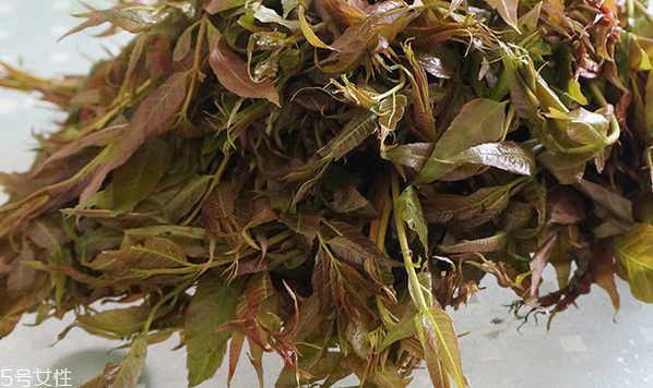 香椿水餃怎么做好吃？超詳細香椿豆腐餃子做法