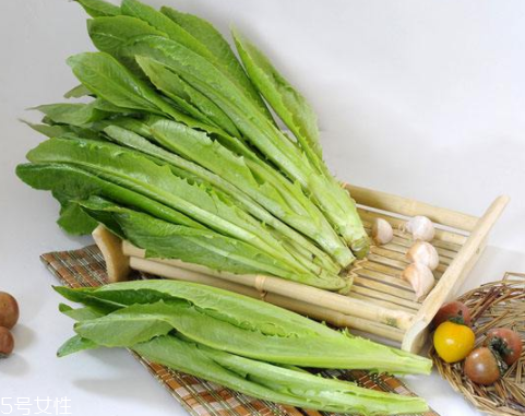 油麥菜怎么涼拌好吃？加點麻醬調(diào)味
