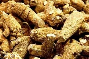 西洋參會過敏嗎？不排除這種可能