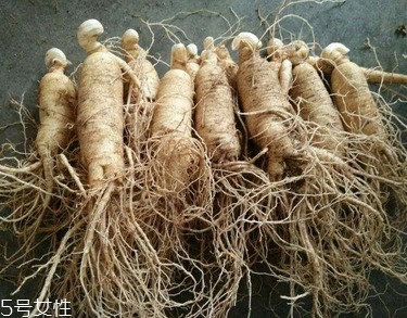 西洋參會推遲月經(jīng)嗎？這個是有可能的