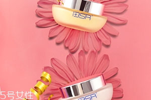 bsr博生能是什么牌子？哪國的