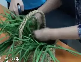 韭菜怎么保存時間長？真空保存最持久