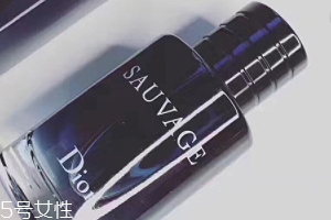 迪奧曠野和桀驁哪個(gè)好？曠野香水適合暖男