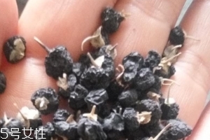 黑枸杞為什么是藍(lán)色？花青素的原因