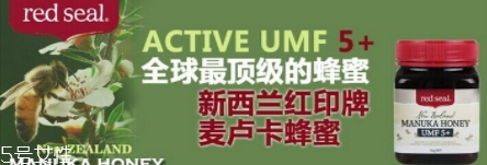 麥盧卡蜂蜜哪個牌子好？