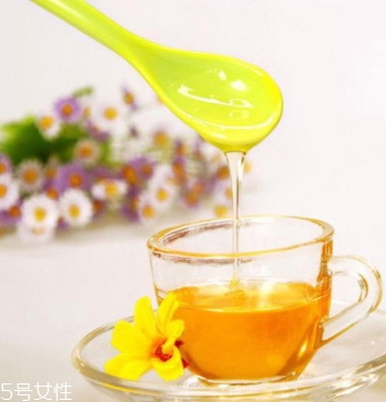 麥盧卡蜂蜜哪個牌子好？