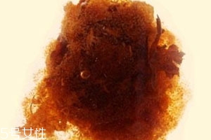 胖大?？梢院筒枞~一起泡嗎