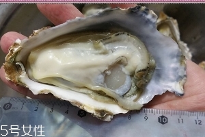 生蠔會有寄生蟲嗎？不生吃就沒關(guān)系