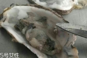 生蠔會(huì)上火嗎？烤生蠔易上火