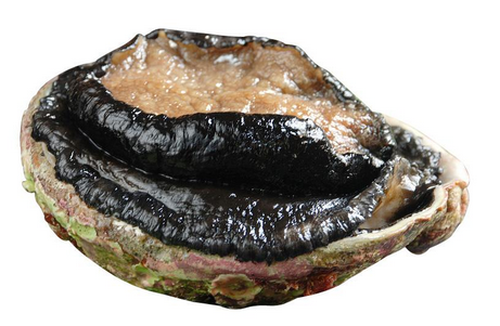 鮑魚罐頭怎么吃？這樣吃最好