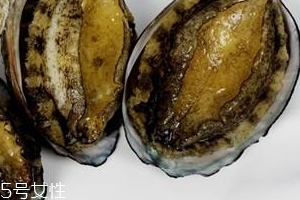鮑魚罐頭好吃嗎？味道還可以