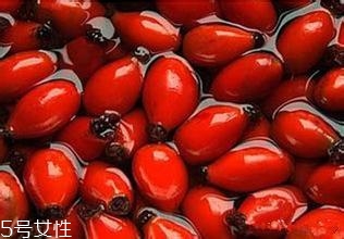 痘痘能用玫瑰果油嗎？愈合之后少量用
