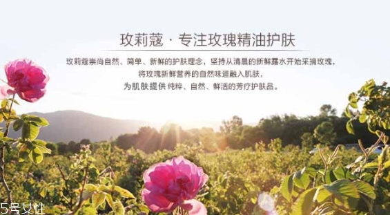 玫莉蔻護(hù)膚品怎么樣？主打玫瑰的護(hù)膚品牌