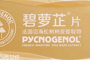碧蘿芷到底好不好？帶你了解碧蘿芷