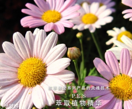 歐萃碧護(hù)膚品怎么樣？法國藥妝品牌