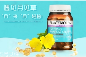 月見草油是激素嗎？不含激素成分