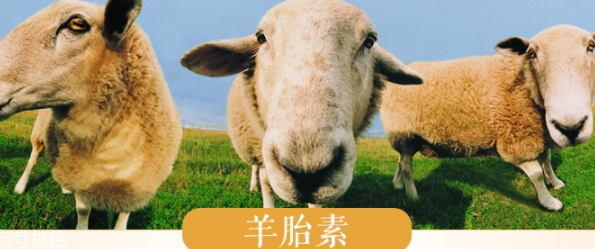 羊胎素和玻尿酸哪個好？