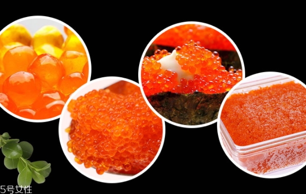 飛魚籽是什么魚的籽？壽司美味的秘訣