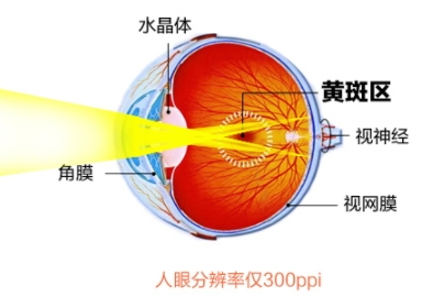 葉黃素可以預防近視嗎?
