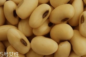 卵磷脂通乳嗎？這個(gè)還不一定