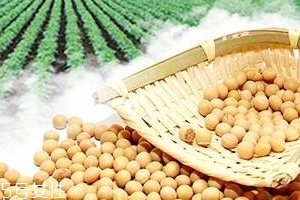 卵磷脂能和鈣一起吃嗎？分開服用為佳