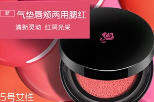 2018氣墊腮紅哪個(gè)牌子好？