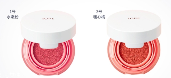 2022氣墊腮紅哪個牌子好用？