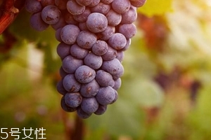 葡萄籽會(huì)影響月經(jīng)嗎？吃法正確就不會(huì)