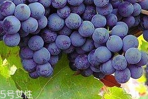 葡萄籽會長痘嗎？沒有這個情況
