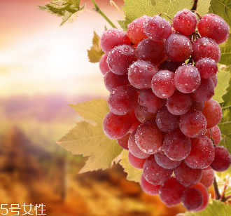 葡萄籽會影響睡眠嗎？這個肯定不會