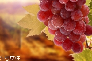 葡萄籽會便秘嗎？葡萄籽能緩解便秘