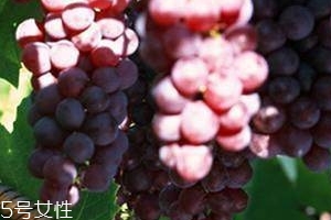 葡萄籽能直接嚼著吃嗎？不建議這樣吃