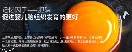 黃金素和dha可以一起吃嗎？