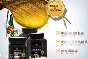 沃森麥盧卡蜂蜜怎么吃？watsonson麥盧卡蜂蜜這樣服用