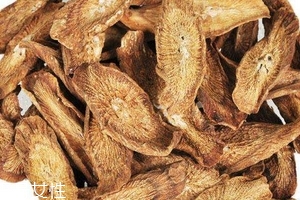 牛蒡茶是什么做的？牛蒡茶是樹(shù)根嗎？