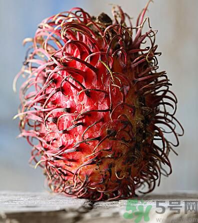 紅毛丹的核能吃嗎？紅毛丹的核可以吃嗎？