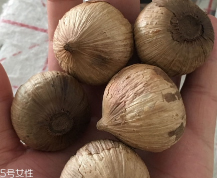 黑蒜怎么吃？黑蒜最好吃的吃法