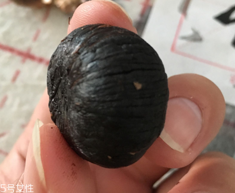 黑蒜是種植出來的嗎？黑蒜怎么來的