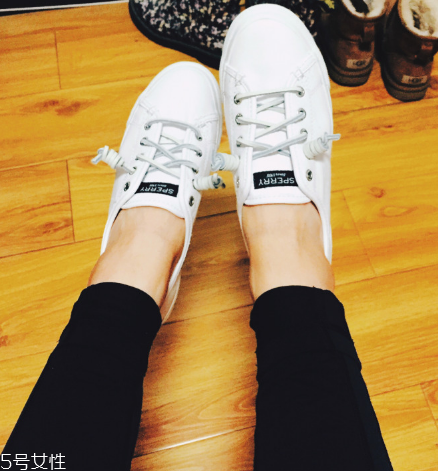 sperry鞋子多少錢？sperry鞋子的價位