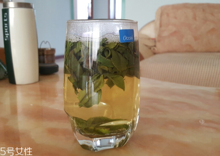 六安瓜片是什么茶？六安瓜片好喝嗎？